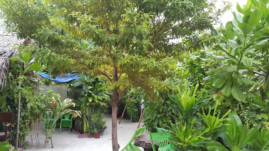 Maafushi View Hotel Exterior foto